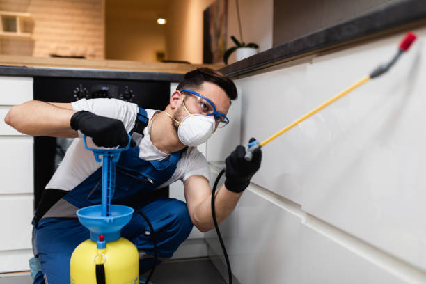Best Mosquito Control Services  in Ele, AR