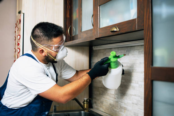 Best Flea Control Services  in Ele, AR