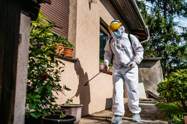 Professional Pest Control in Earle, AR