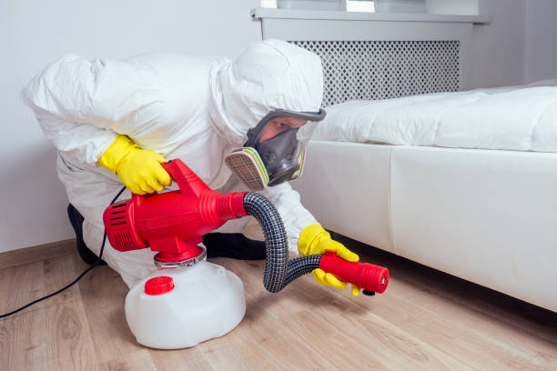 Best Emergency Pest Control  in Ele, AR