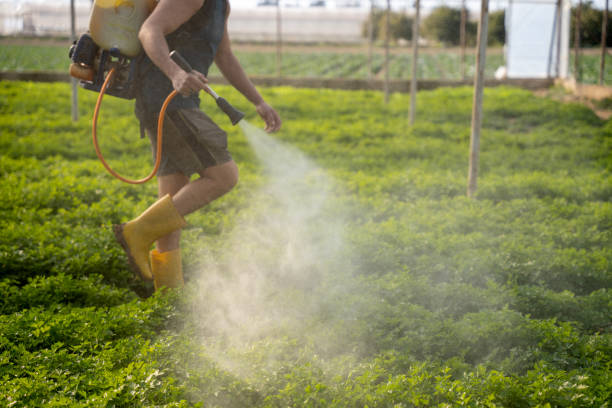 Best Ant Control Services  in Ele, AR
